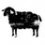 xDBlackSheep