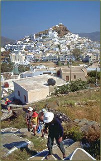 Senior people discover walking and walking less dangerous and simpler with trekking poles made use of effortlessly.